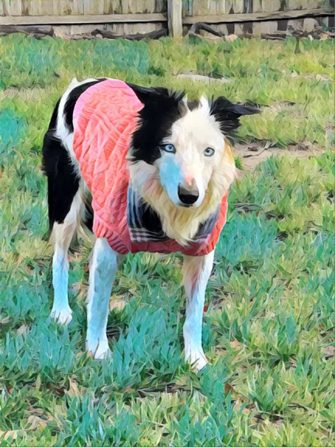 Cover or image for JYNX